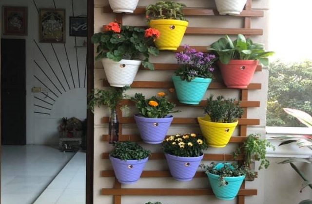 Vertical Gardening